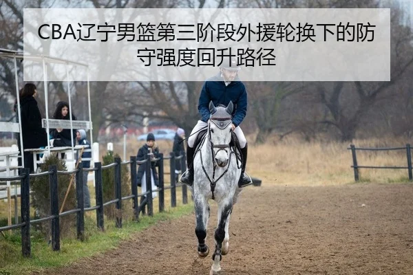 liao-ning-nan-lan-di-san-jie-duan-wai-yuan-lun-huan-xia-de-fang-shou-qiang-du-hui-sheng-lu-jing-2-284.jpg